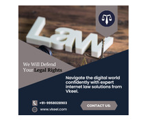 Internet Lawyers in Delhi