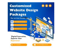 Web Design Packages with Technical Excellence