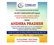 B2B Companies Database Provider in Andhra Pradesh