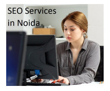 Best SEO Company in Noida