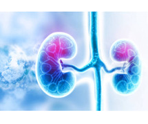 Kidney Specialist in Mohali