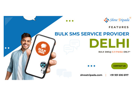 Features of Bulk SMS Service Provider in Delhi by Shree Tripada