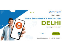 Features of Bulk SMS Service Provider in Delhi by Shree Tripada