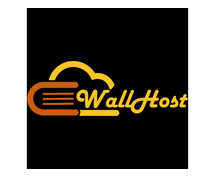 Affordable Web Hosting | Fast and Reliable Hosting by eWallHost