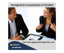 Immigration Consultants in Faridkot: Your Trusted Partner for a Global Future