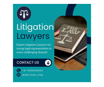 Litigation Lawyers in Delhi