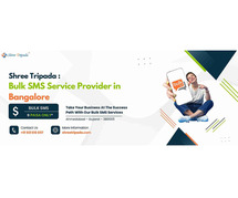 Why Shree Tripada is Considered as the Best Bulk SMS Service Provider in Bangalore?