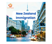 Wave Visas | Professional Visa and New Zealand immigration Support