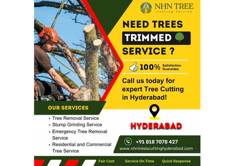 Tree Trimming Service in Hyderabad – NHN Trees Cutting