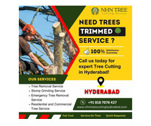 Tree Trimming Service in Hyderabad – NHN Trees Cutting