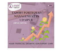 Portfolio Management in Udaipur: Key to Financial Growth and Stability