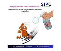 Cockroach Pest Control Bangalore | Cockroach Treatment | SIPC