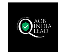 Sales Accepted Lead -  Q-Lead