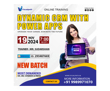 Microsoft Dynamics CRM Online New Batch