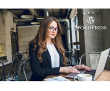 Best Wordpress Development Company in India