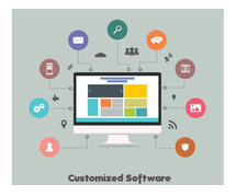 Customized software development