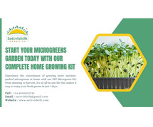 Start Your Microgreens Garden Today with Our Complete Home Growing Kit