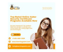 Top-Rated Online Cyber Security Certificate Programs Available Now