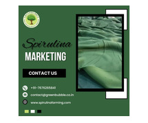 Spirulina Marketing | Innovative Marketing Solutions for Spirulina