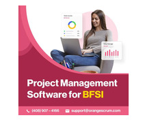 Banking Industry Project Management Software