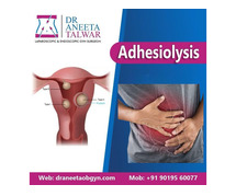 Best Adhesiolysis Surgery in Whitefield, Manipal - Dr. Aneeta Talwar