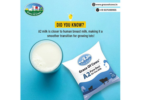 Start Your Day Right with Grace of Cows Pure and Nutrient-Rich A2 Desi Cow Milk