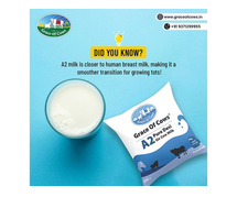 Start Your Day Right with Grace of Cows Pure and Nutrient-Rich A2 Desi Cow Milk