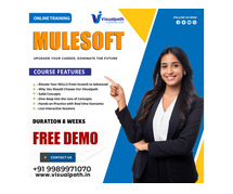 MuleSoft Training in Ameerpet | MuleSoft Training