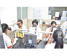 Leading M.Sc Microbiology Colleges in India for Research & Growth