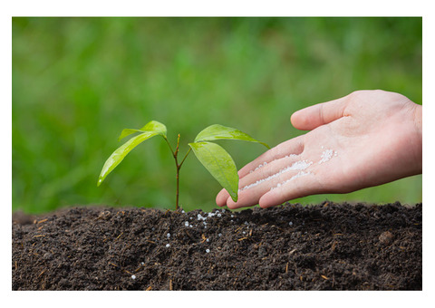 Top Uses of Vermicompost | Boost Soil Health & Plant Growth Naturally