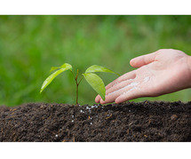 Top Uses of Vermicompost | Boost Soil Health & Plant Growth Naturally