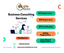 Business Consulting Firm in India