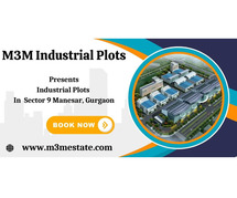 M3M Industrial Plots: A Gateway to Business Success