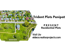 Panipat’s Best Plots – Trident Plots