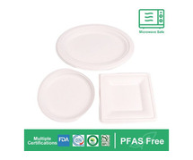 Biodegradable Bagasse Tableware: From Sugarcane to Tableware