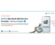 Why Shree Tripada is Delhi's Best Bulk SMS Provider?