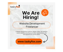 Website Development Freelancer