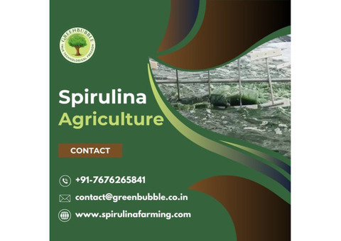 Spirulina Agriculture | Organic and Sustainable Farming Solutions