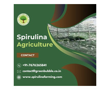 Spirulina Agriculture | Organic and Sustainable Farming Solutions