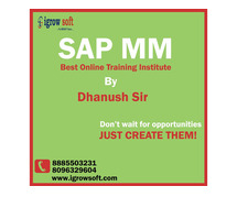 SAP EWM Training in Hyderabad | EWM Online Training | Igrowsoft