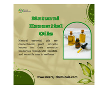 Natural Essential Oil Suppliers in India