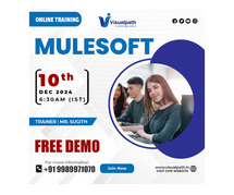 Online Free Demo On Mulesoft