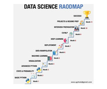 Data Science Roadmap: Your Journey to Success