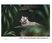 bandhavgarh safari booking online