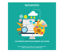 Noida's Premier Web Development Company