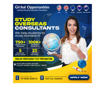 Study Abroad Consultants in Delhi | Overseas Education