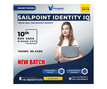 Online New Batch On Sailpoint Identity IQ