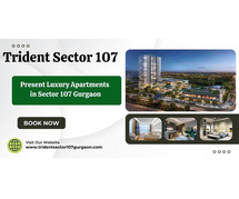 Trident 107 Gurgaon - Where Every Day Feels Like a Vacation