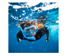 Snorkelling At Tribe Gate By Boat