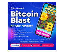 Boost your business identity with Whitelabel Bitcoin Blast clone software